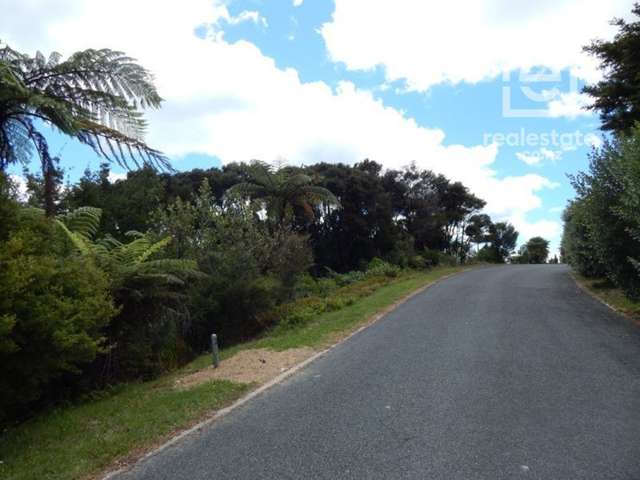 Broadview Road, Opua