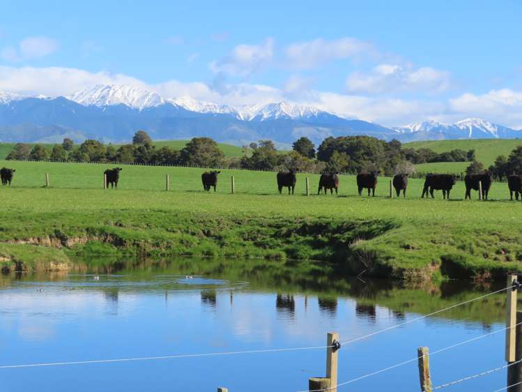 160 Ashley Clinton Rd Waipukurau_5