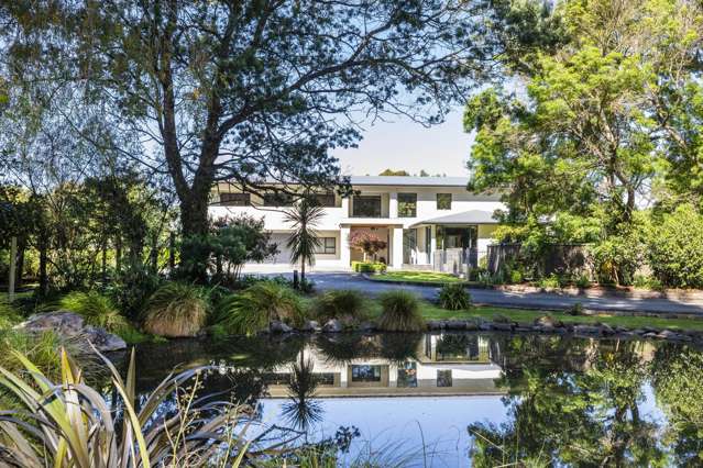 Back on the Market - Motivated Vendors Want Action