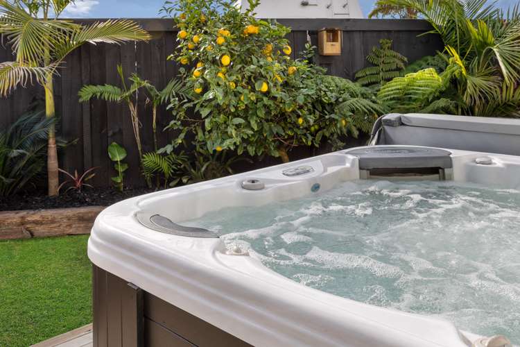 11 Barbara Grove Papamoa_10