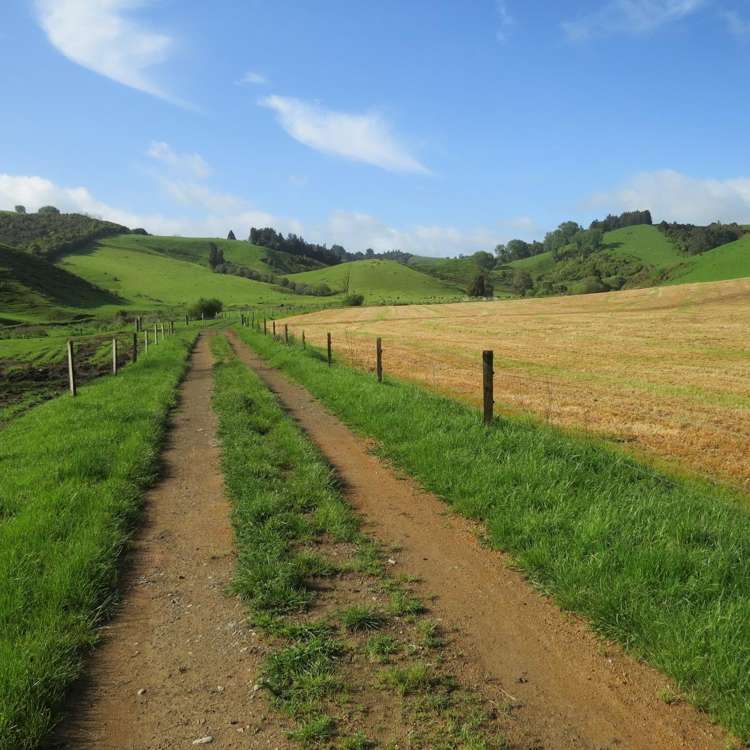 48 Barber Road Otewa_22