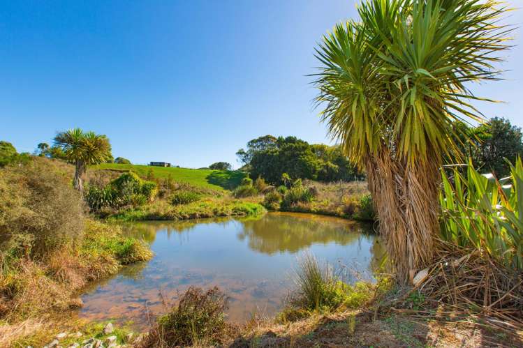 12 Nau Mai Road Raglan_16