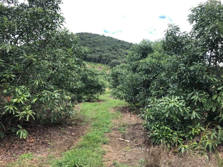 1423 State Highway 14 Maungatapere_8