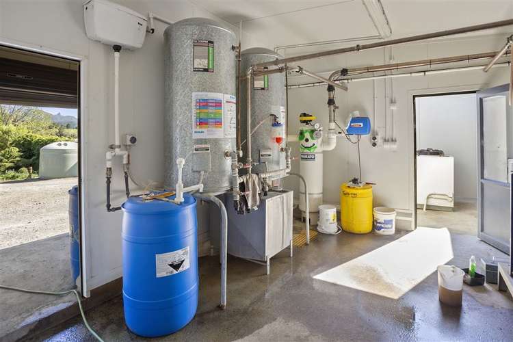 57 Hall Road Hikuai_13