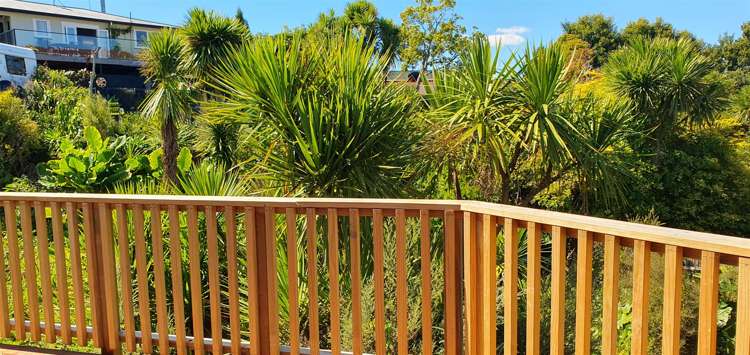 10 Libby Lane Howick_7