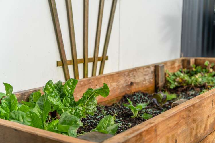 183a Kiripaka Road Tikipunga_15