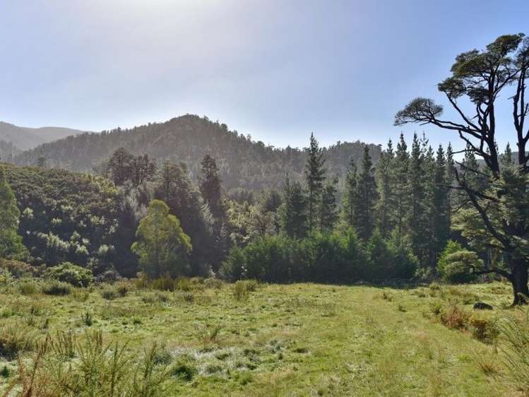 446 Glentui Bush Road Glentui_12