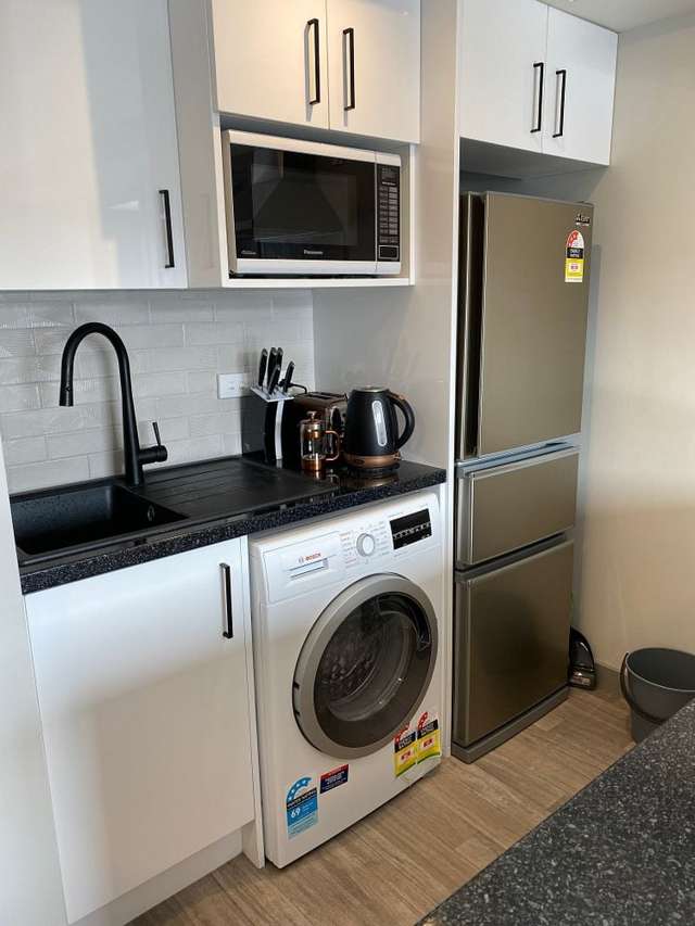 Fully furnished sunny apartment