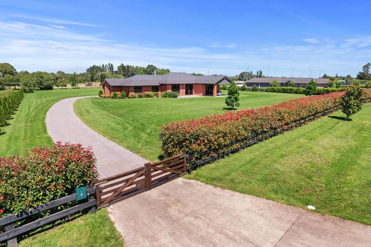 4 Margot Lane Matangi_0