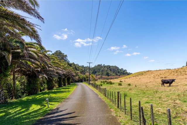 16 Stevensons Crescent Albany_4