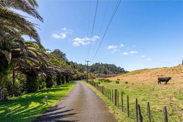 16 Stevensons Crescent Albany_4