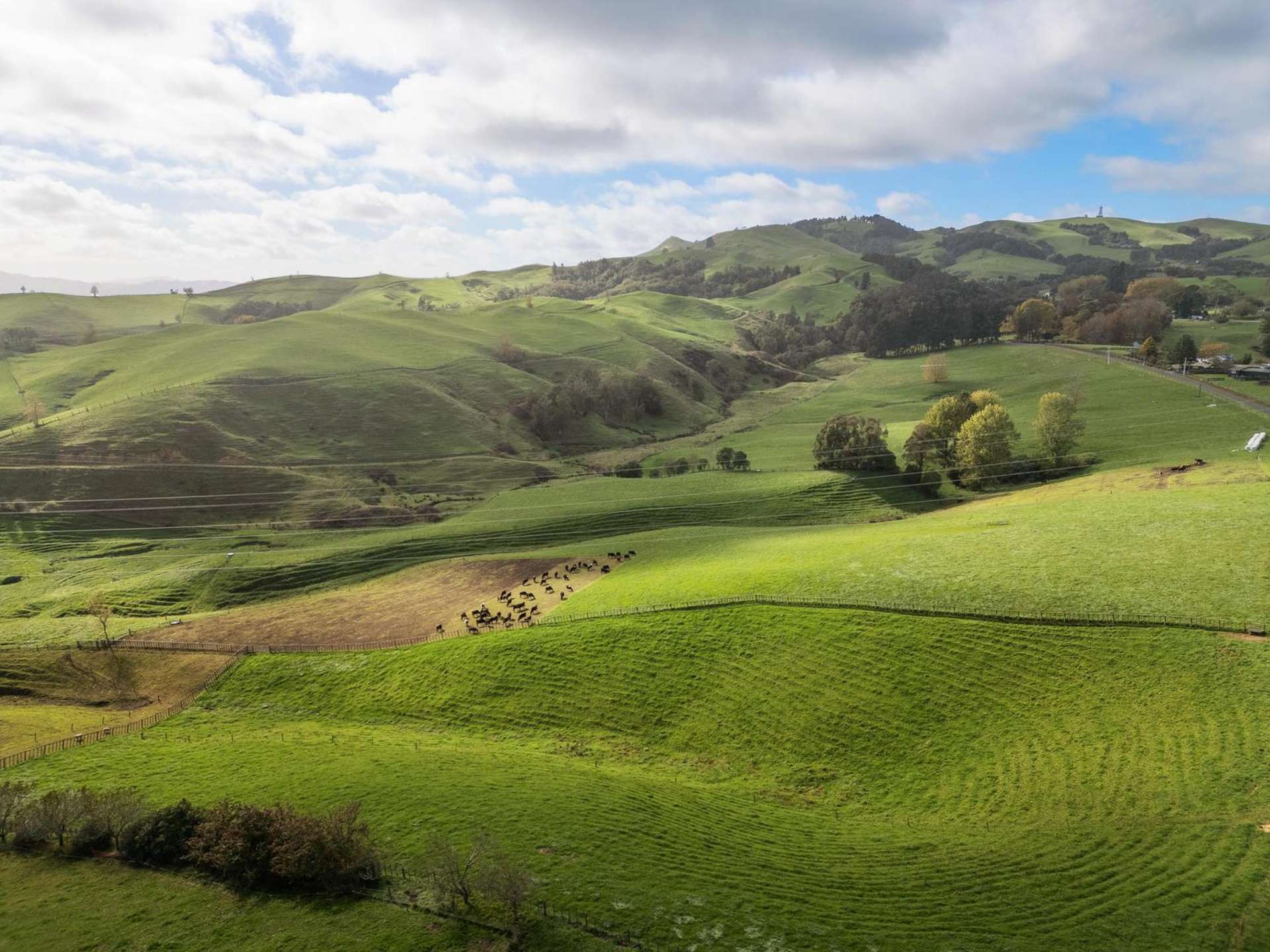 12 Tirohanga Road Rotoorangi_0