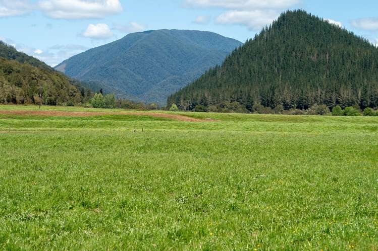 2154 Shenandoah Highway Murchison_5