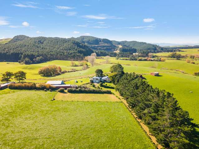 3001 State Highway 2 Waitakaruru_1