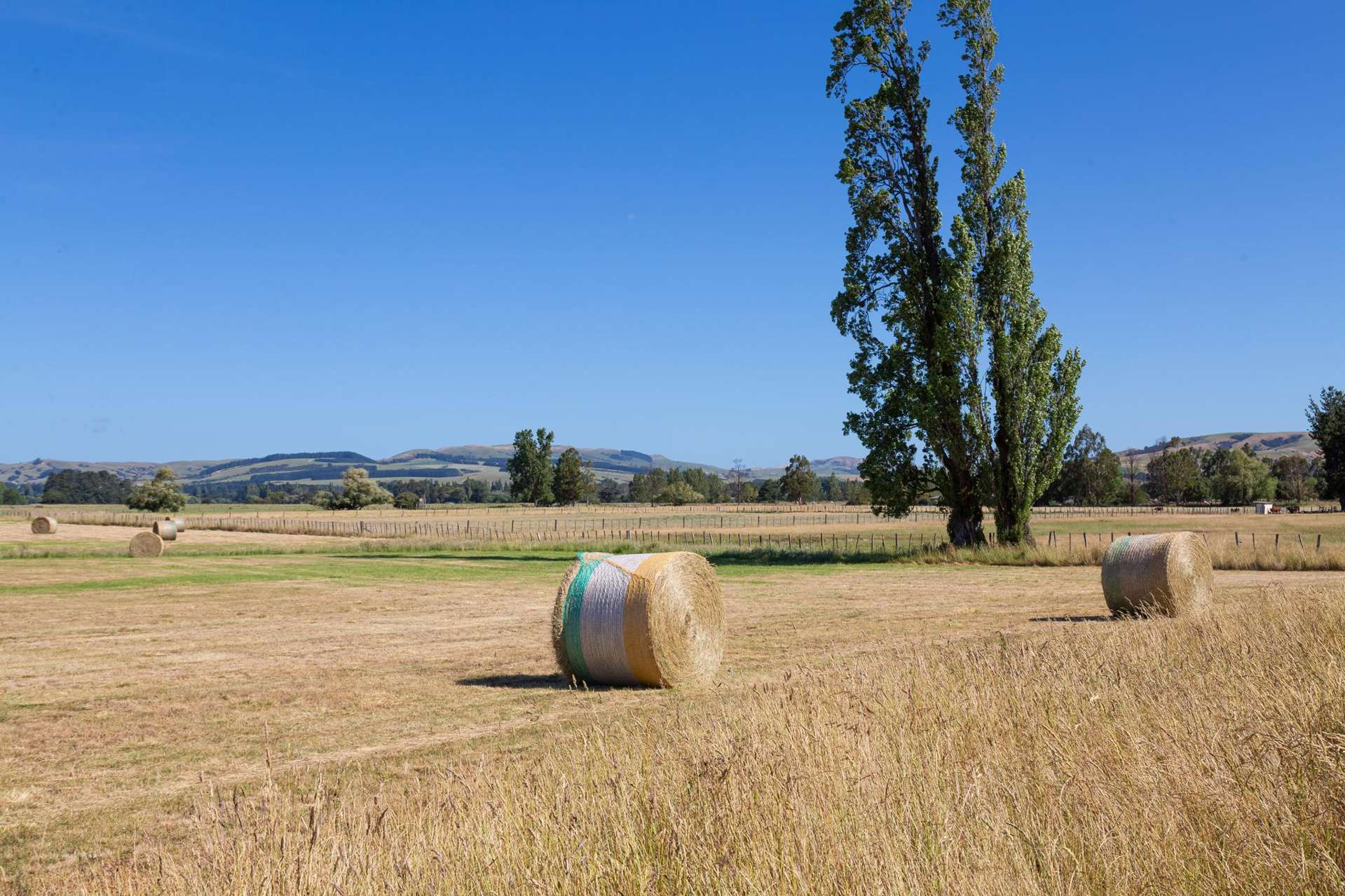 Lots 5 and 6 Riversdale Road Carterton_0