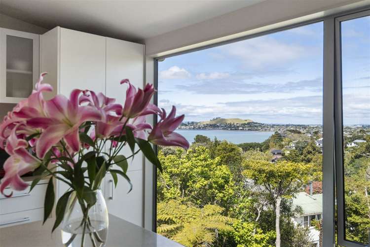 51b Belfast Street Hillsborough_5