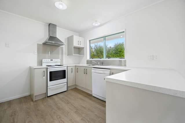 7a Bledisloe Terrace Hamilton East_3