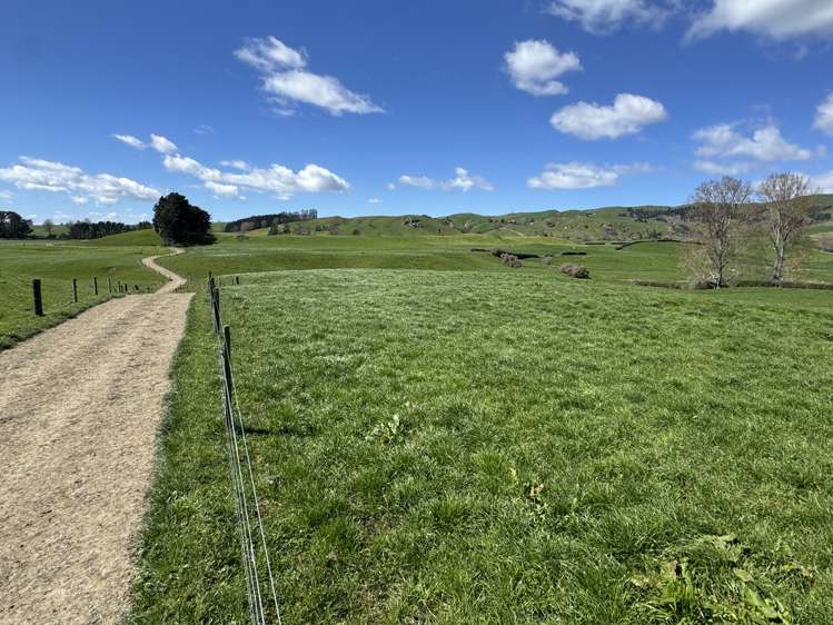 530 Mangatutu Rd RD3 Maihiihi_4