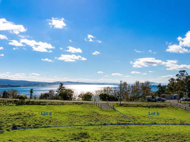 54a or 54b Tenby Moeraki_4