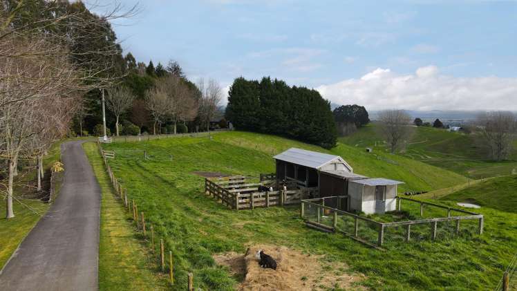 340 Deep Creek Road Reporoa_24