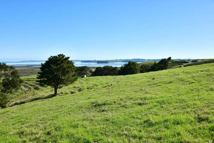 3356 Kaipara Coast Highway Glorit_3