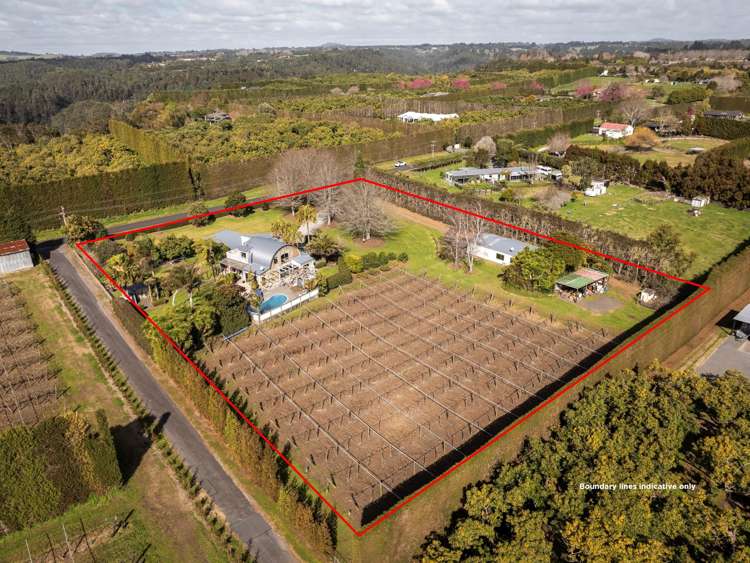 536 Belk Road Omanawa_28