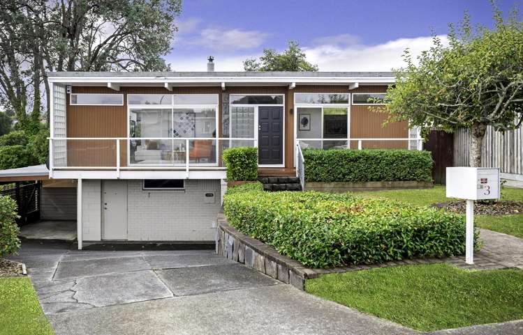 3 Jeff Place Howick_27