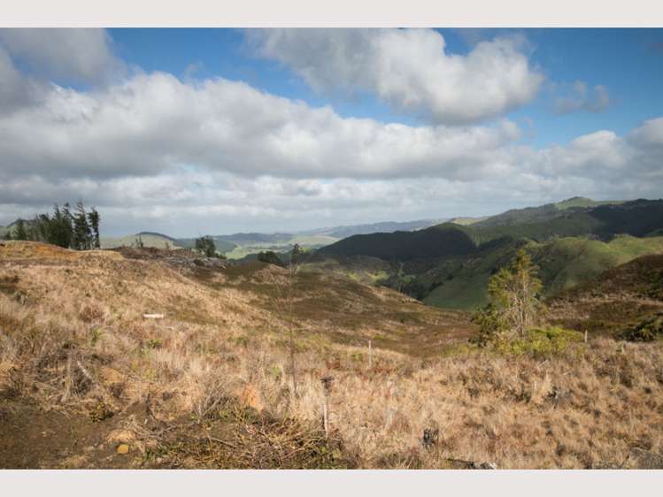 15 State Highway 49 Ohakune_20