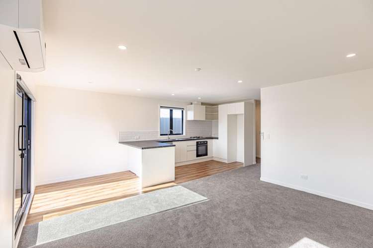  1/205 Puriri Street Castlecliff_3
