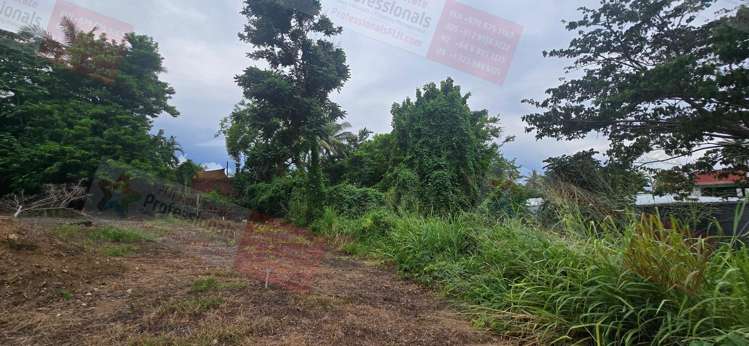 Address withheld Sigatoka_7