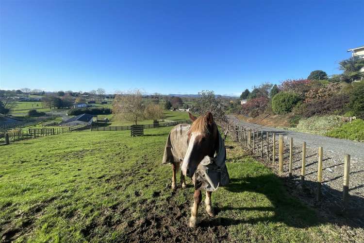 36 Old Te Kuiti Road Otorohanga_26