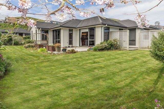 185 Woodman Drive Tawa_1