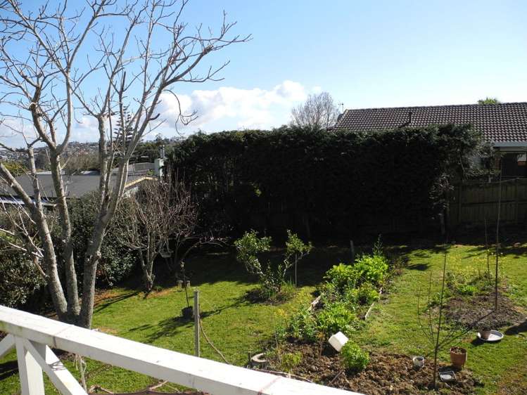 163 Cook Street Howick_9