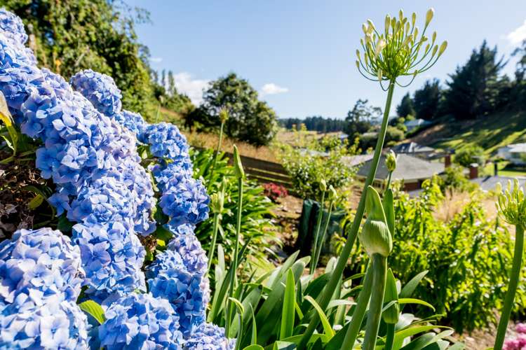 27 Prosser Street Green Island_12