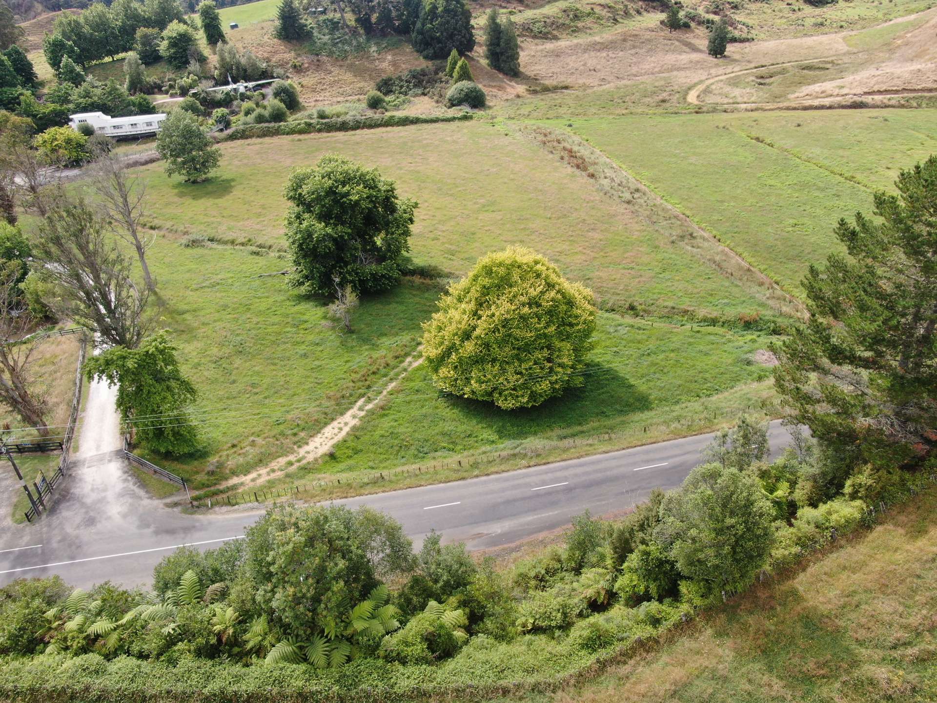 Waitomo Valley Road Waitomo_0