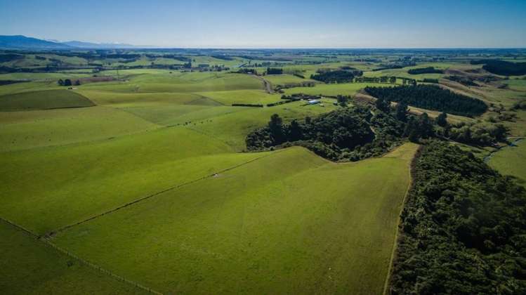 147 Fletcher Road Geraldine_6