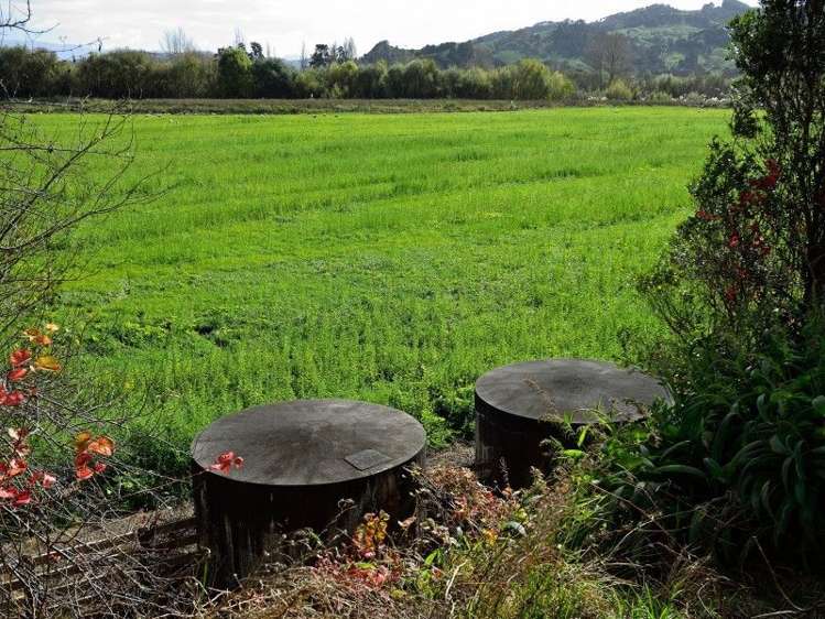 2118 Matawai Road Te Karaka_3