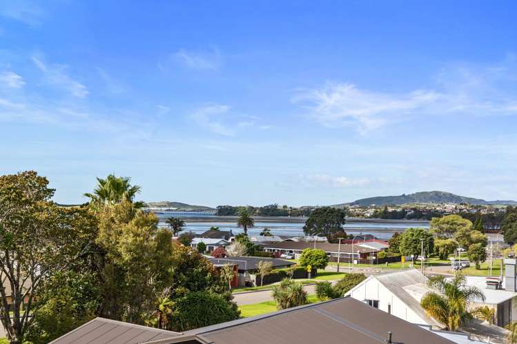 36 Fourteenth Avenue Tauranga South_15