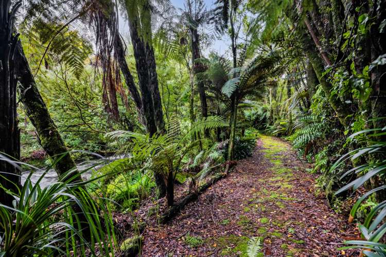 88 Rewa Street Inglewood_6