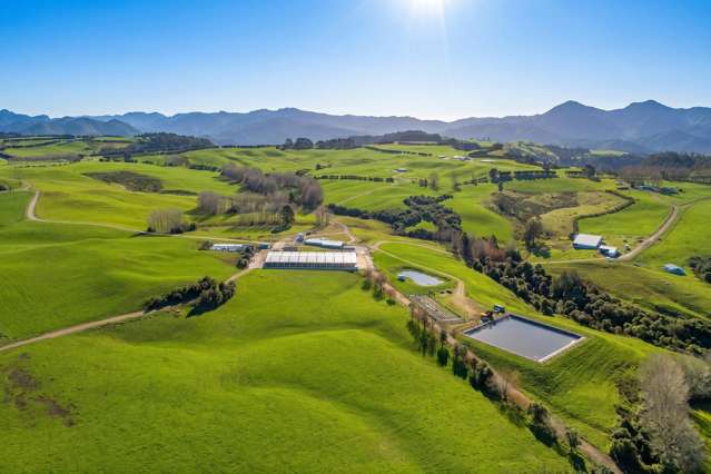 165 McBeth Road Hikuai_3