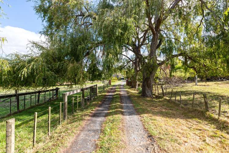 87 Kahikatea Flat Road Dairy Flat_28