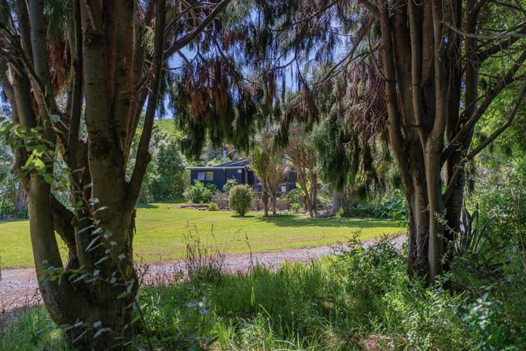 248 Sh25 Kuaotunu_25