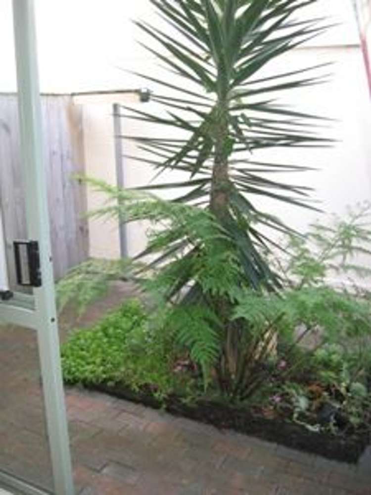 9/1a Harrison Road Mount Wellington_5