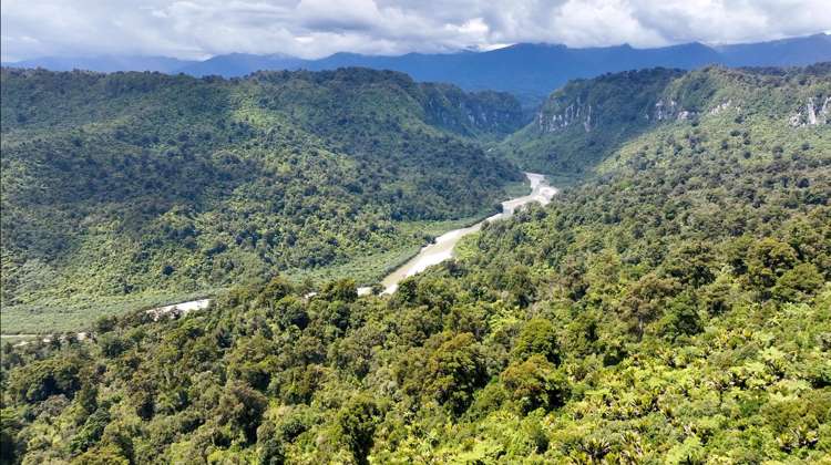 82A Kaipakati Point Road Fox River_18