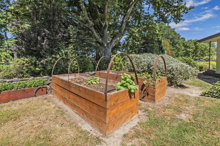 428 Kowai Road Springfield_28