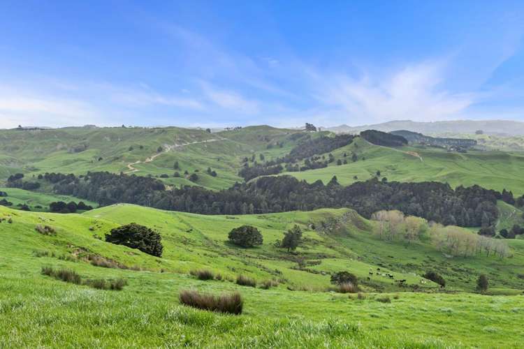 895 Wairamarama Onewhero Road Onewhero_14