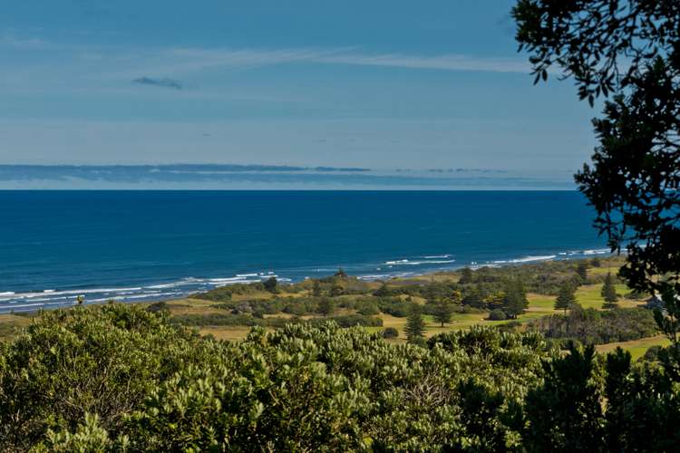 105 Domain Crescent Muriwai_2