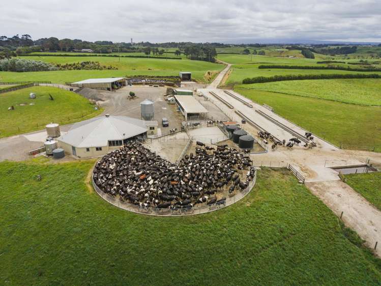 339A South Road Hawera_8