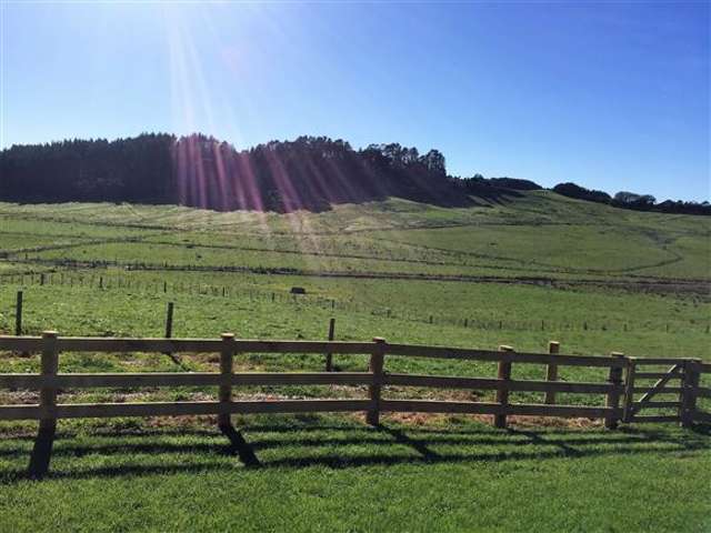 129 Vipond Road Wellsford_2