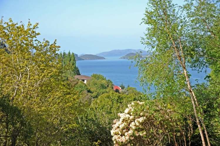 35b Kiwi Street Saint Leonards_0